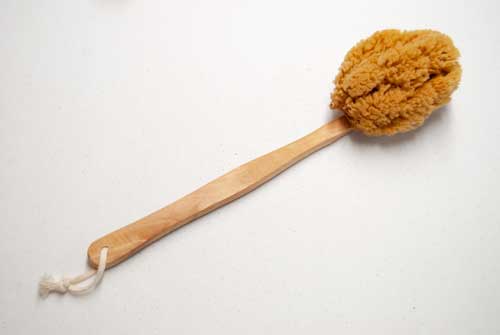 Wool sponge on a stick