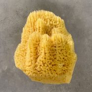 hard head silk sponge