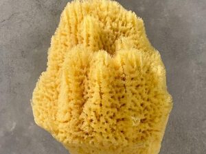 hard head silk sponge